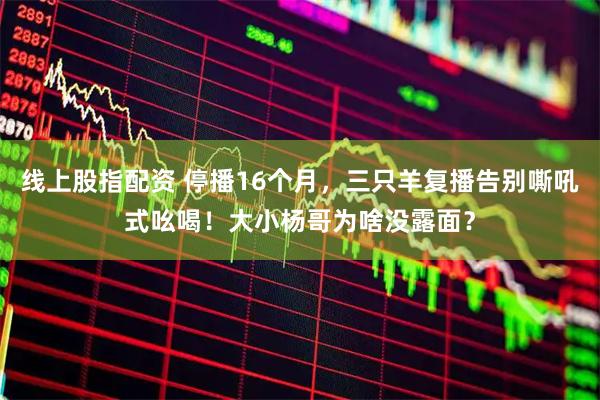 线上股指配资 停播16个月，三只羊复播告别嘶吼式吆喝！大小杨哥为啥没露面？
